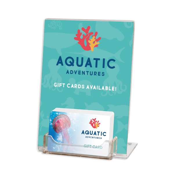5x7 Acrylic Gift Card Display Stand